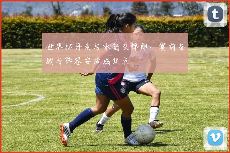 世界杯丹麦与冰岛交锋即,赛前备战与阵容安排成焦点