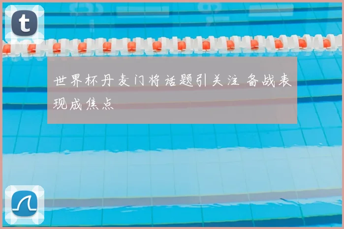 世界杯丹麦门将话题引关注 备战表现成焦点